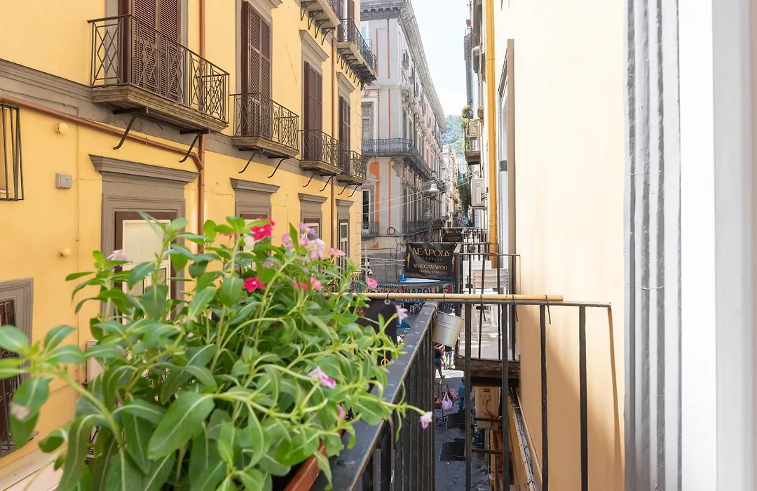 Neapolis Lifestyle-1